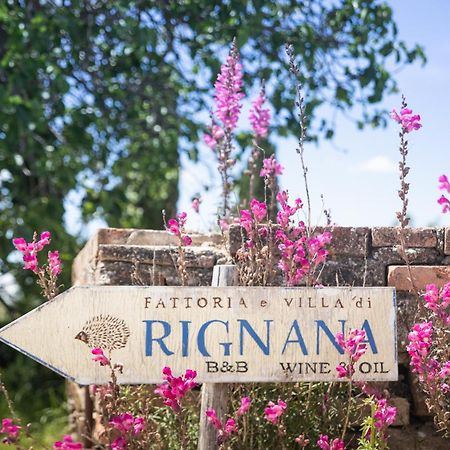 גרבה אין קיאנטי Fattoria Di Rignana Winery Bnb מראה חיצוני תמונה