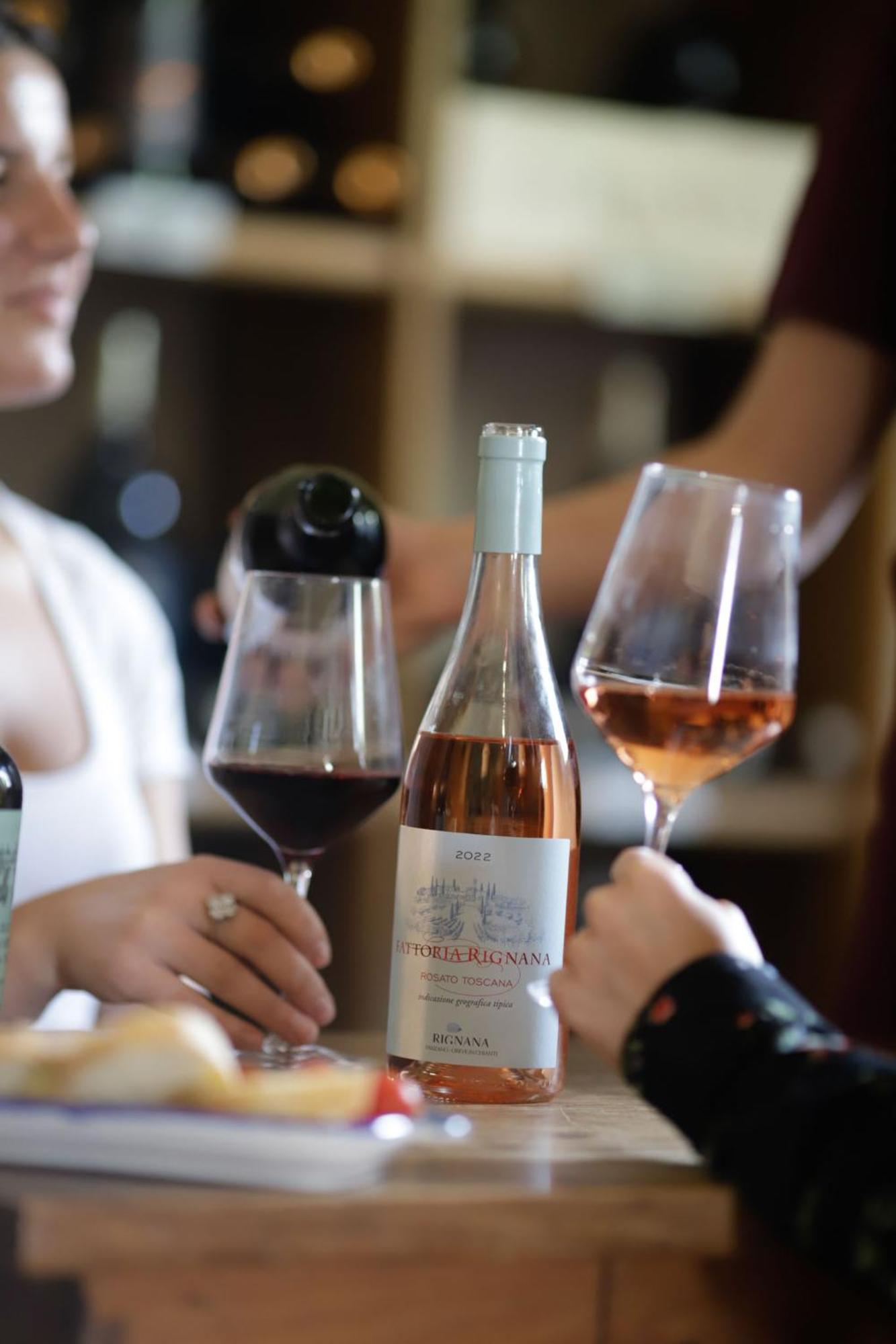 גרבה אין קיאנטי Fattoria Di Rignana Winery Bnb מראה חיצוני תמונה